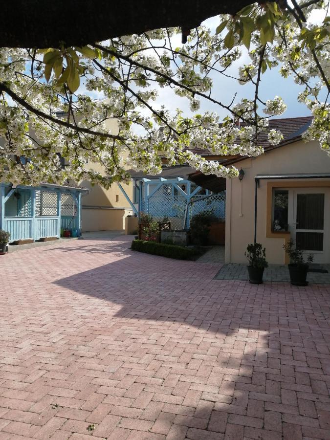 Anna Vendeghaz Apartment